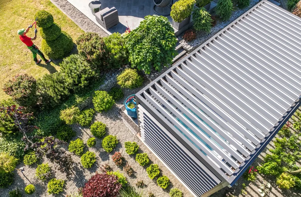a roof of a building surrounded by bushes